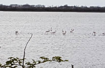 Maddy Appartamento - Foto 1