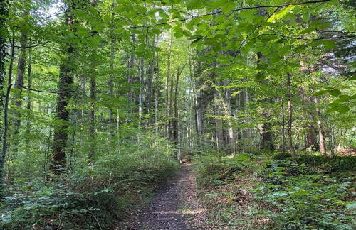 Haus Vogl - Fewo mit priv. Sauna und traumhaften Salzwasser-Pool - Foto 12