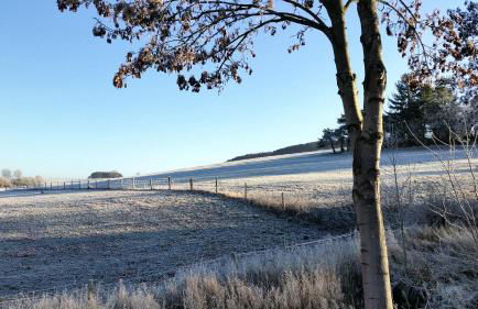 Ferien-Appartement Goldhausen - Foto 17