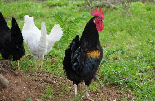 giardino del tempo - Foto 35