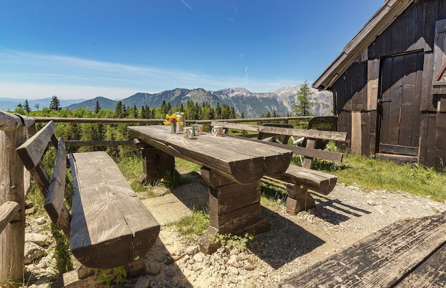 To Fall In Love - Chalet Zlatica - Velika Planina - Foto 18