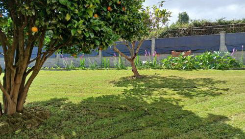 Casa Los Naranxales Gijon - Foto 5, Garden