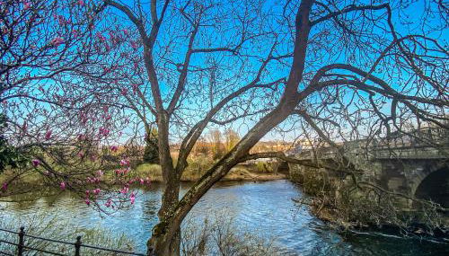 The Terrace at Riverside Suites - Foto 2