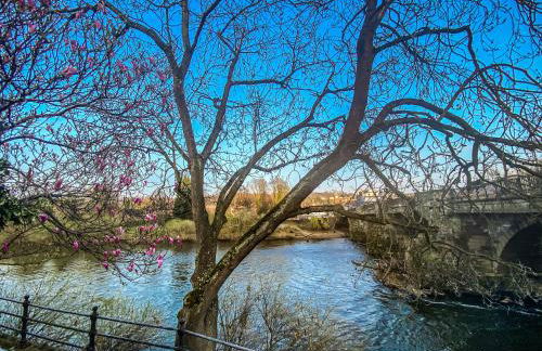 The Terrace at Riverside Suites - Foto 2