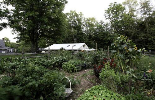 Gorgeous Fully Restored Caravan Nestled in the Trees Along Silver Lake for a Unique Vacation in Woodridge, New York - Foto 38