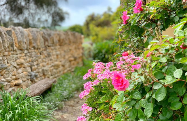 Cherry Plum Cottages - Foto 43