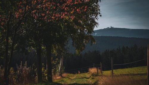 Landhaus Bärenstein - Pano-Blick 1 - Foto 5