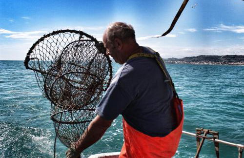 Ittiturismo Il Vecchio e il Mare - Foto 18