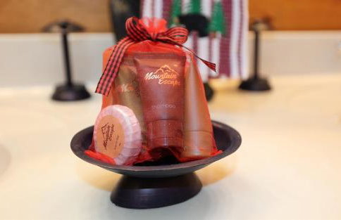 Cozy Stone Cabin Retreat Near Beech Ski Slopes - Foto 35