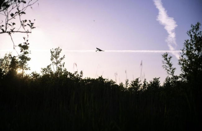 Chalet in Friesland Near Large Lakes - Foto 28