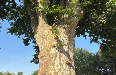 Gite dans ancien moulin - Foto 18