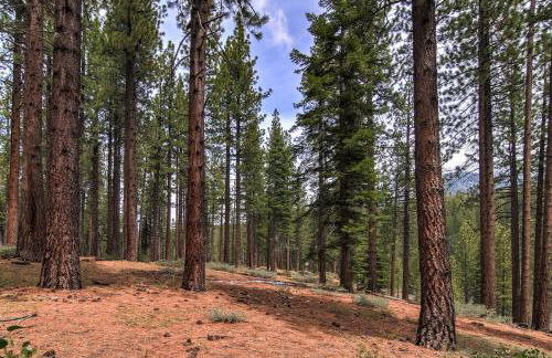 Bear Haus - Fur Babies Welcome! - Foto 55