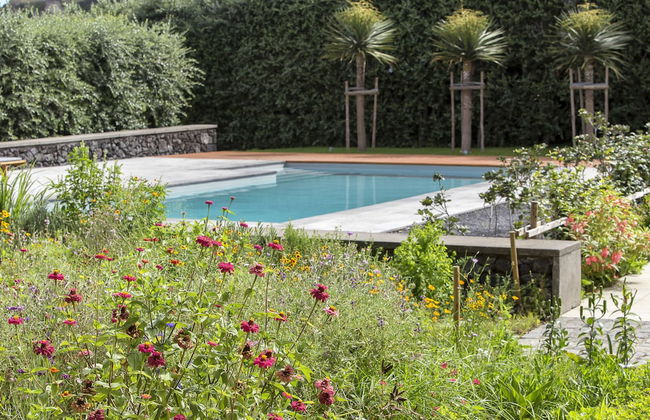 Quinta dos Peixes Falantes - Foto 57