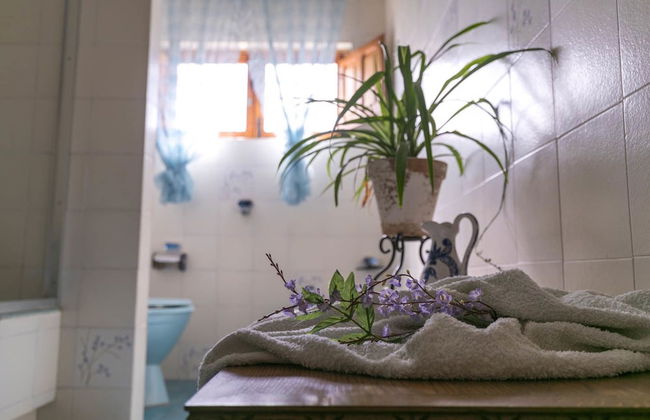 Finca del Valle - Foto 27