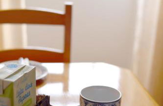 Casas Goulart - Photo 47