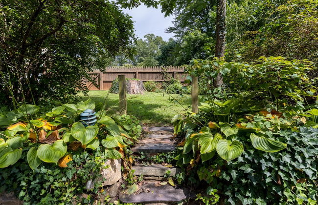 Cheerful 3 Bedroom Home Walk to UVA Stadium - Foto 6