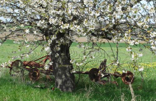 La Roche Pérégrine - Photo 1