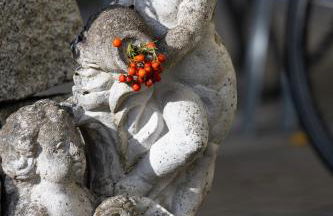 Komfort Apartmenthaus Haslbach FGZ - Foto 19