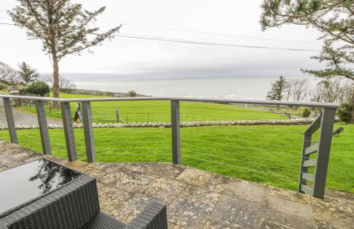 Hendre Wylan - Foto 28