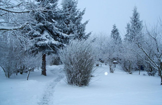 Landhaus Ferienwohnung in Gorow - Photo 38
