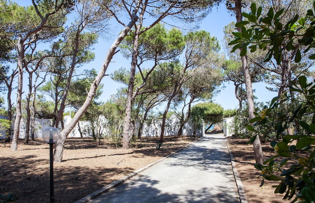 Masseria Villa - Maison by the sea - Photo 14