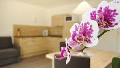 Appartment Charly - Foto 4