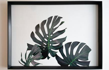 La CAPEYRONNAISE - MAISON COSY - JARDIN - Foto 19