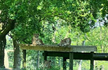 2025 Award Winner Liverpool Strawberry House - 3 Bedrooms - Foto 46