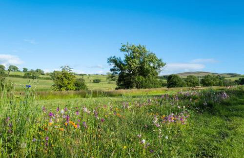 Snittlegarth Farm Lodges - Foto 16