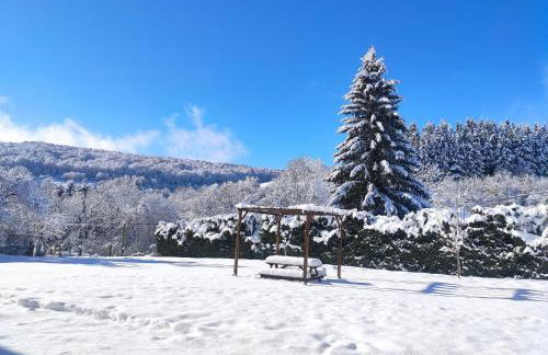 Apartamentos Goizeder - Foto 31