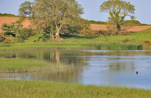 Palmallet Cottage - Foto 26