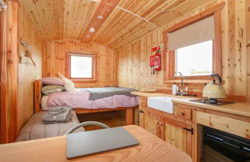 Hafan Gelli Sheperds Hut - Enlli - Photo 6