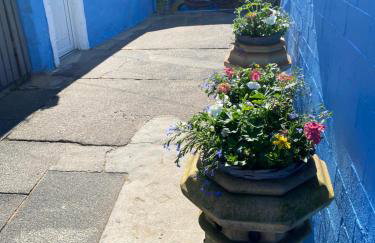 Marina Studio - Foto 10