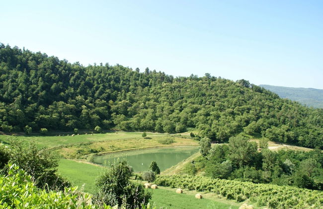 Holiday Home in Dicomano - Foto 33