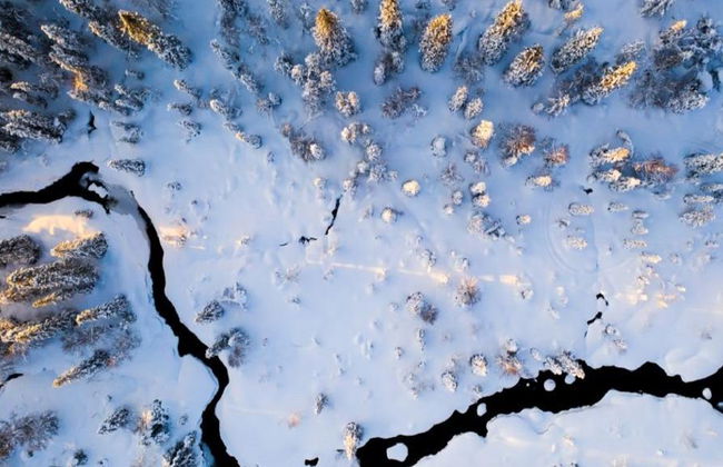 Day in the Wilderness by Traditional Forest Skis - From Yllas - Photo 2