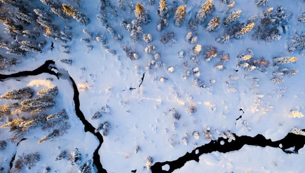 Día en la Naturaleza con Esquís Tradicionales de Bosque - Desde Ylläs - Foto 2