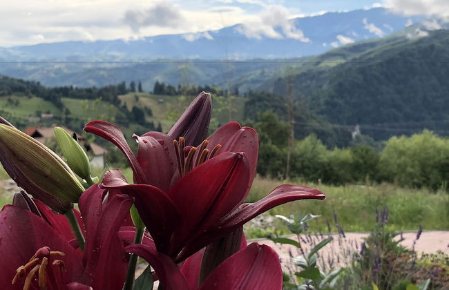 Branmontecrai - Foto 42