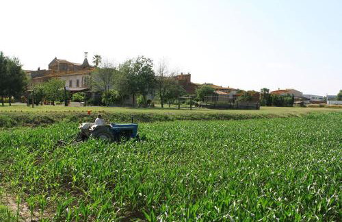 Can Pujol - Casitas de Turismo Rural en el Baix Empordà - Foto 31