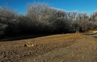 Michaels Elbtraum - Foto 28