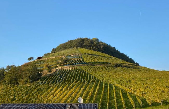 Holiday Apartment Meadow - Foto 10