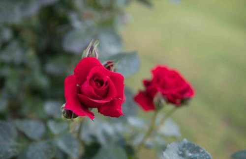 Michalos Apartments - Foto 16