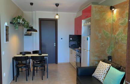 Katarina Apartments Kefalonia - Sea View - Foto 70