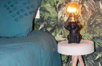 MAISON "Jungle House" 90 m2 BILLARD, RÉTROPROJECTEUR, BAR À JEUX , VINYLE, WIFI FIBRE, idéal PRO & FAMILLE à Montbrison - Foto 22