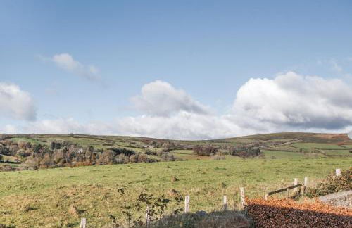 Widecombe Cottage - Foto 41