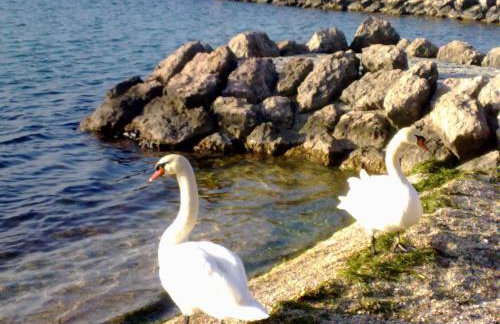 Residenza Al SoGno - on Lake Garda - Foto 42