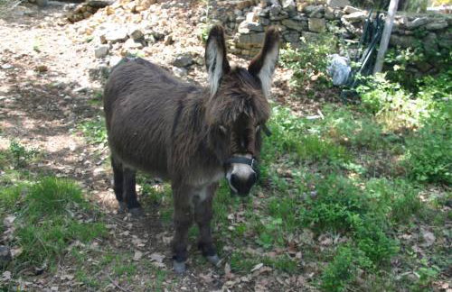 La Cabane Féerique Le Clos des Perles - Foto 26