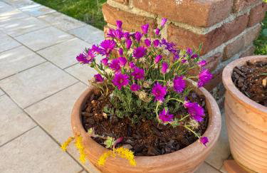 Villa Leopoldo by Istrian Country Houses - Foto 71