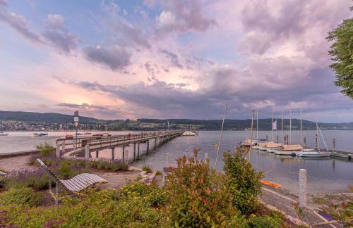 Haubentaucher - Foto 14