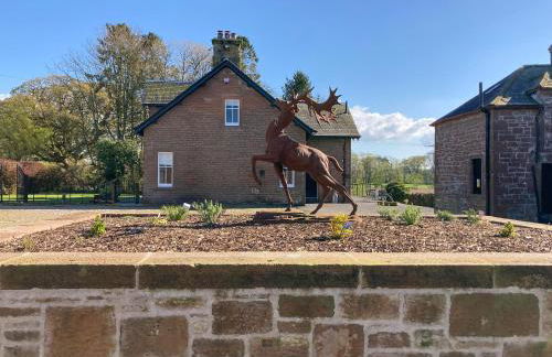 Halleaths Home Farm - Photo 12