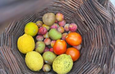 Casa de Campo, Quinta do Funchal - Foto 77